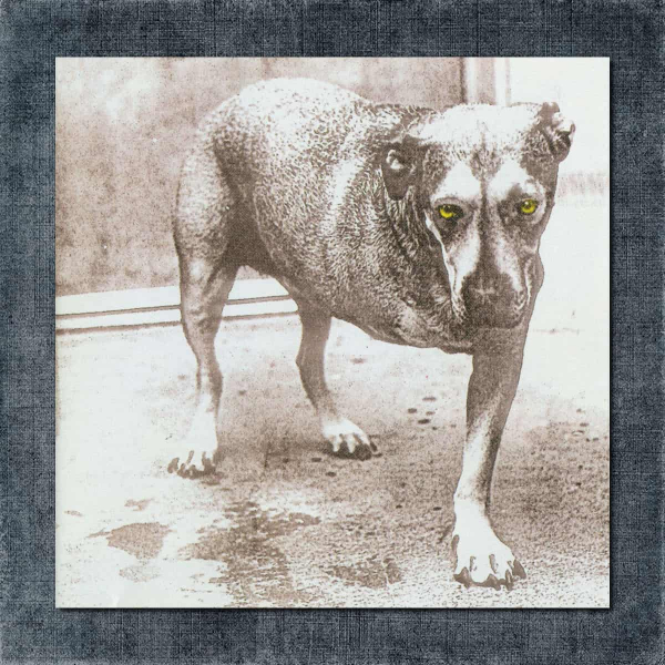 Alice in Chains Back Patch, Alice in Chains - Alice in Chains Big Back Patch