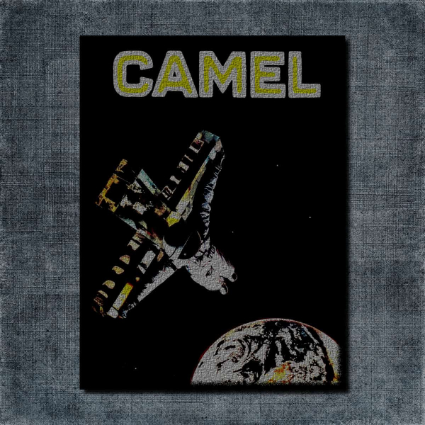 Camel Back Patch, Camel I Can See Your House from Here Big Back Patch